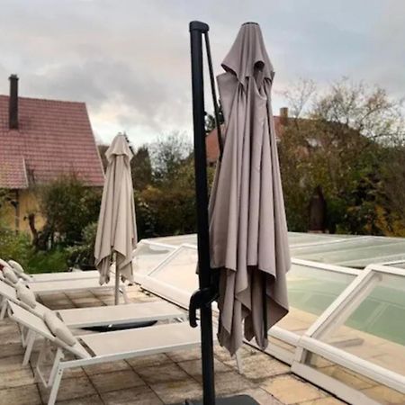 Soh Rent Villa Piscine Proche Strasbourg Tv - Wifi - Parking Lampertheim Exteriör bild